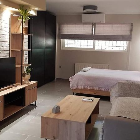 Lefkaditika Luxury Apartment Preveze Dış mekan fotoğraf